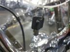2004 Harley-Davidson Fxdwgi