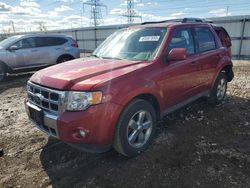 Salvage cars for sale from Copart Elgin, IL: 2012 Ford Escape Limited