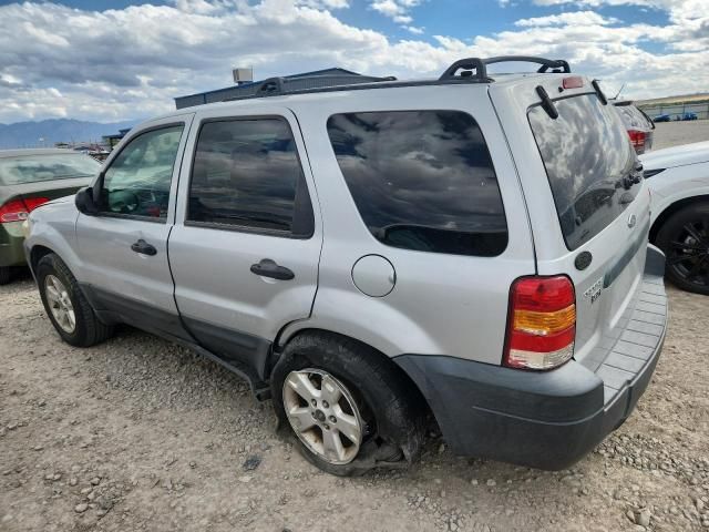 2005 Ford Escape XLT