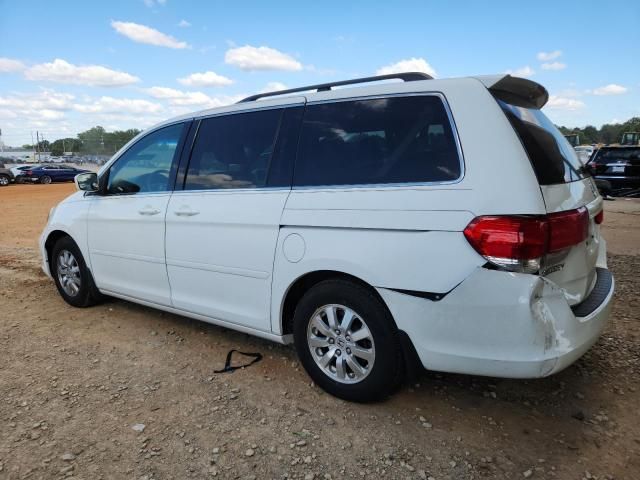 2010 Honda Odyssey EXL