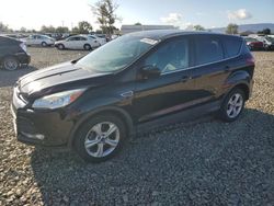2016 Ford Escape SE for sale in San Martin, CA