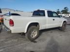 2001 Dodge Dakota