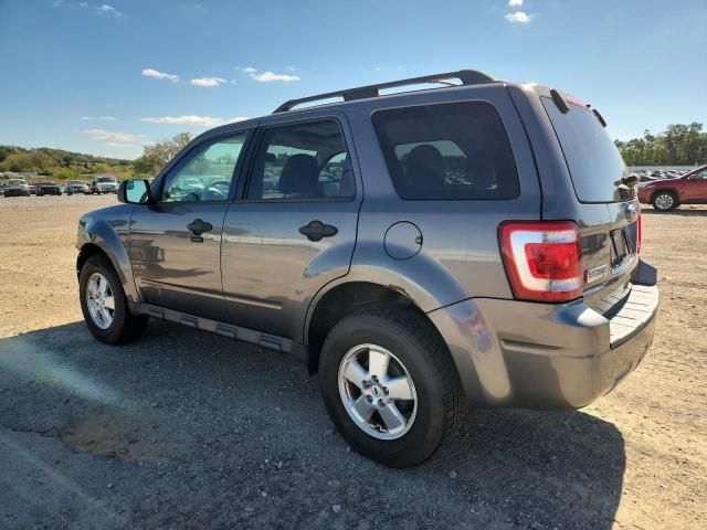 2012 Ford Escape XLT