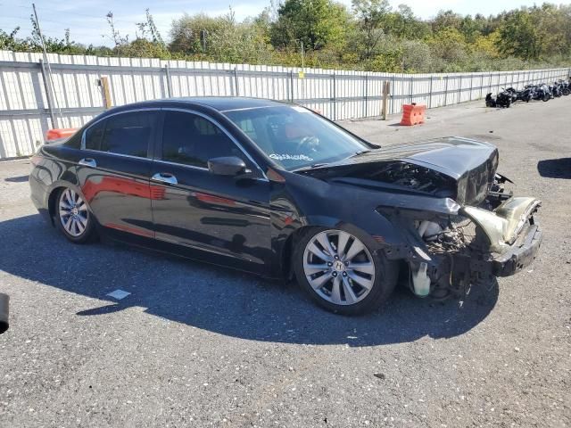 2011 Honda Accord EXL
