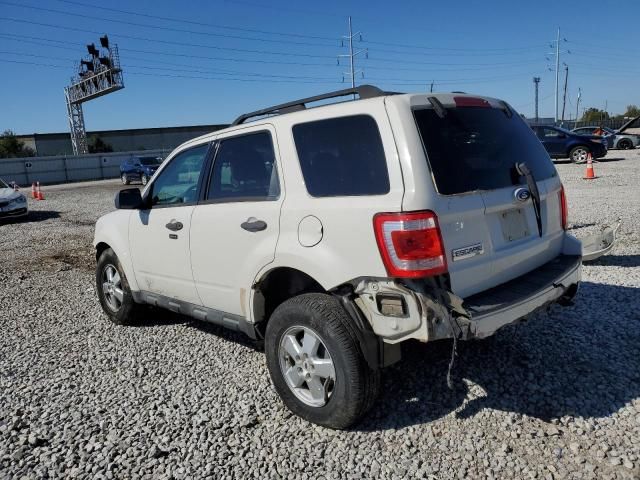 2009 Ford Escape XLT