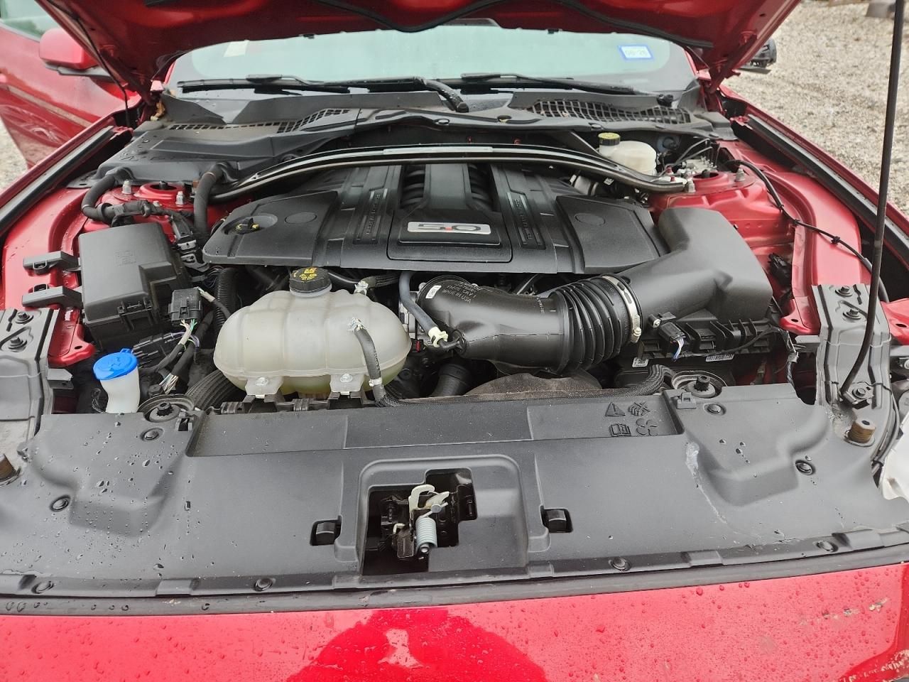 2022 Ford Mustang gt