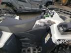 2023 Arctic Cat IC Cat Alterra 600-ATV