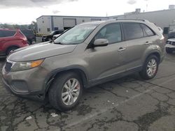2011 KIA Sorento Base for sale in Vallejo, CA