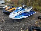 2019 Yamaha FX Cruiser