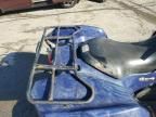 2011 Suzuki Kingquad 750