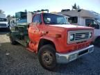 1984 Chevrolet C6000 C6D0