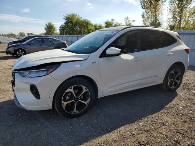 2024 Ford Escape ST Line Select