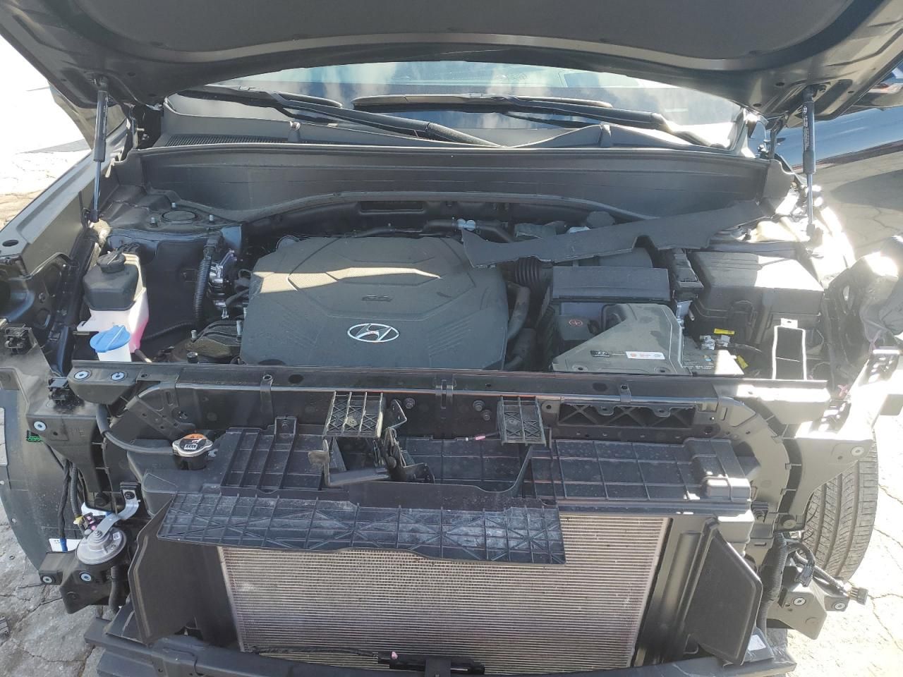 2025 Hyundai Palisade Calligraphy