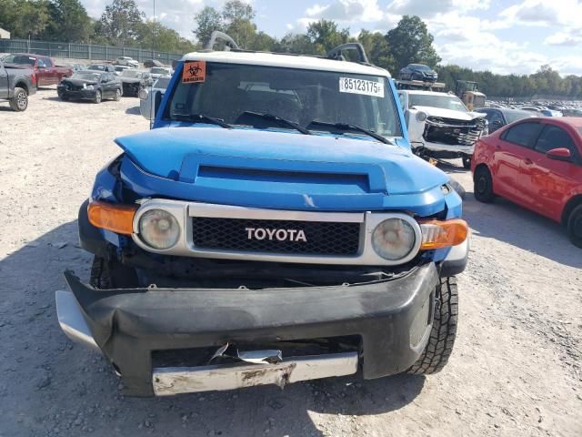 2007 Toyota FJ Cruiser