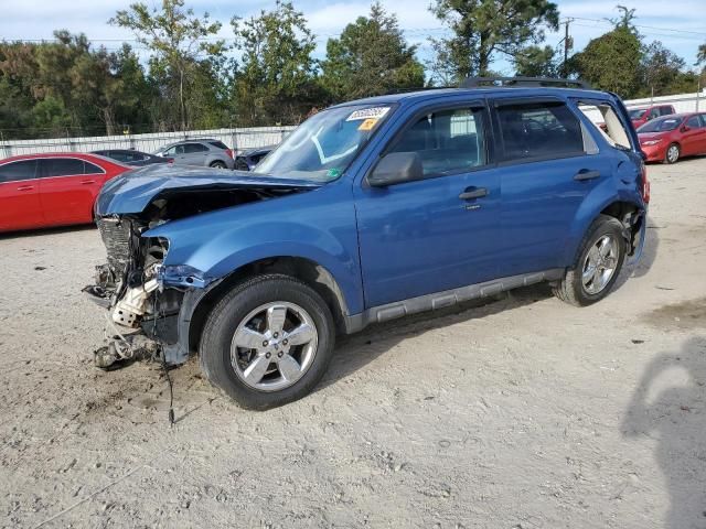 2009 Ford Escape XLT