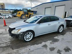 2010 Nissan Maxima S for sale in New Orleans, LA