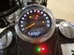 2020 Harley-Davidson Flhcs