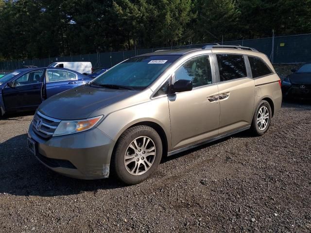 2011 Honda Odyssey EXL