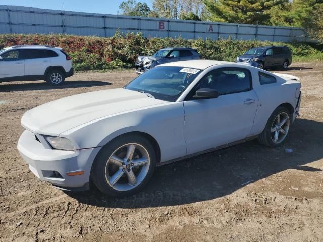 2010 Ford Mustang