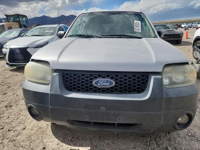 2005 Ford Escape XLT