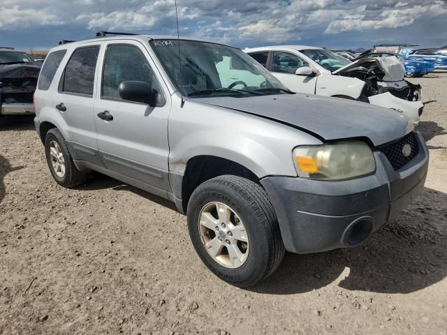 2005 Ford Escape XLT