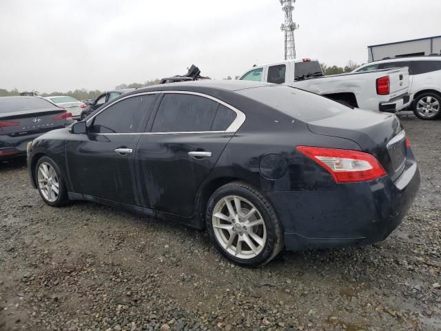 2009 Nissan Maxima S