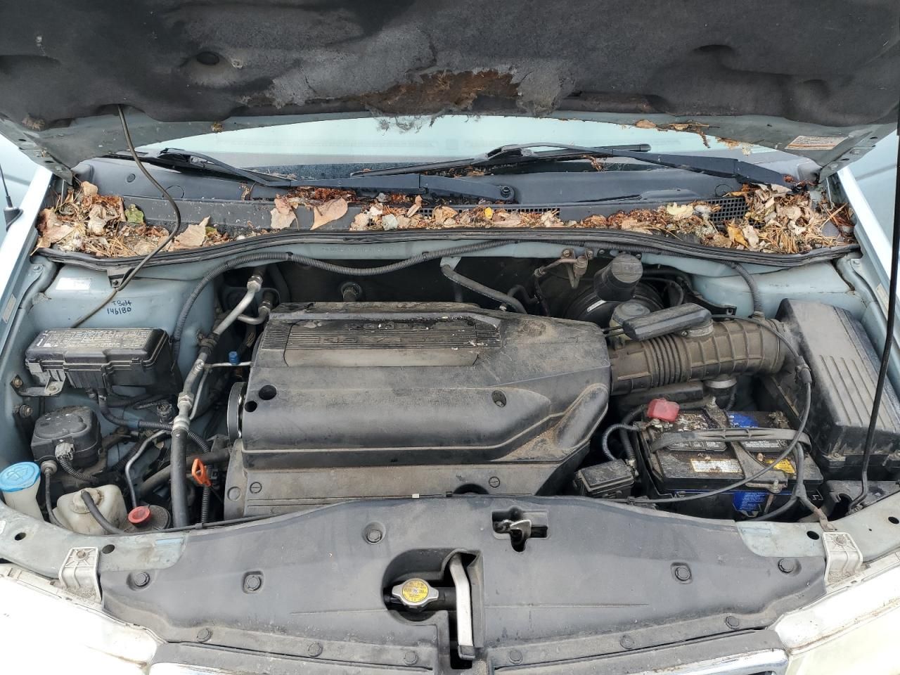 2004 Honda Odyssey ex