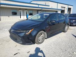 2020 Toyota Corolla le for sale in Earlington, KY