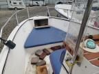 2010 Bluewater Yachts Boat