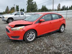 2015 Ford Focus SE en venta en Graham, WA