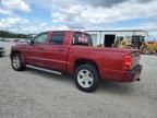 2011 Dodge Dakota SLT