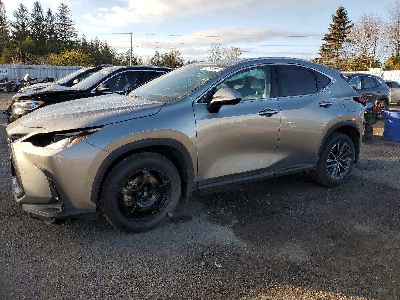 2025 Lexus Nx 250 Base