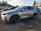 2025 Lexus Nx 250 Base