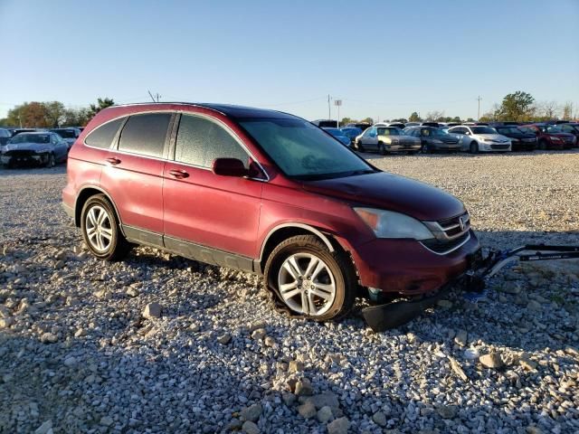 2010 Honda Cr-v exl