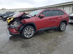 2019 Toyota Rav4 xle Premium for sale in Louisville, KY