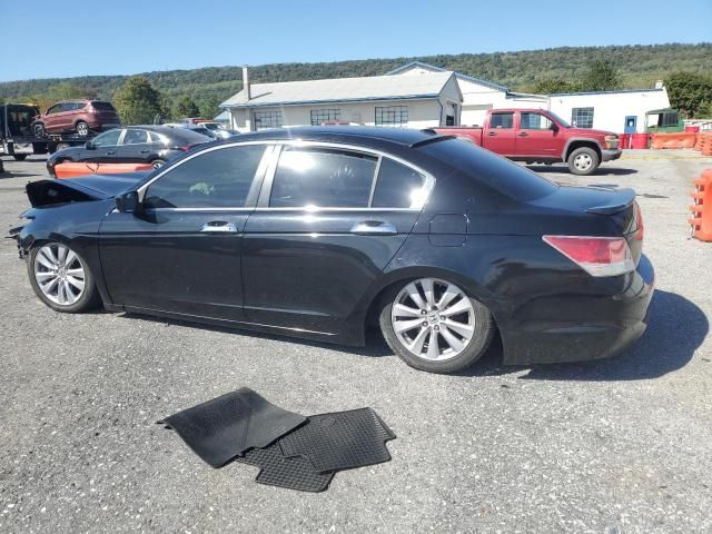 2011 Honda Accord EXL