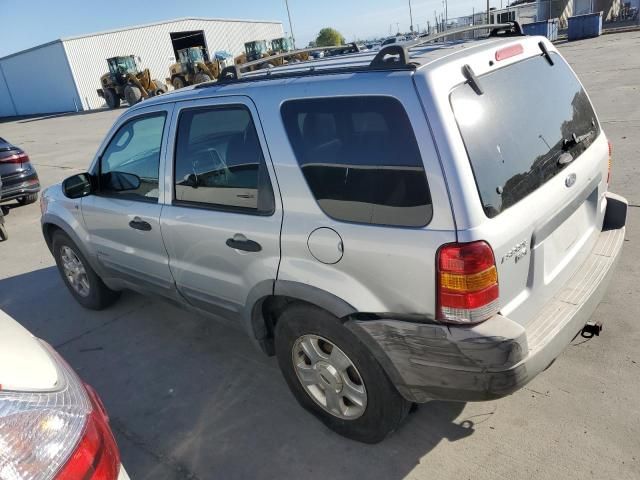 2002 Ford Escape XLT