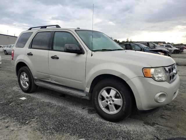 2009 Ford Escape XLT