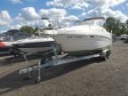 2004 Glassport Boat