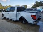 2025 Ford F150 xlt