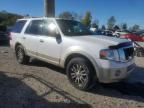 2010 Ford Expedition Eddie Bauer