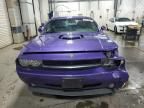 2010 Dodge Challenger R/T