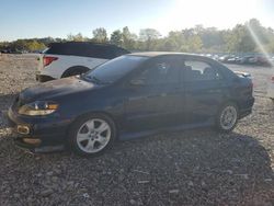 Toyota Corolla salvage cars for sale: 2005 Toyota Corolla XRS