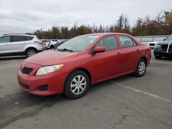 Vehiculos salvage en venta de Copart Brookhaven, NY: 2010 Toyota Corolla Base