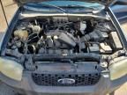 2005 Ford Escape XLT
