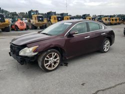 Salvage cars for sale from Copart Dunn, NC: 2014 Nissan Maxima S