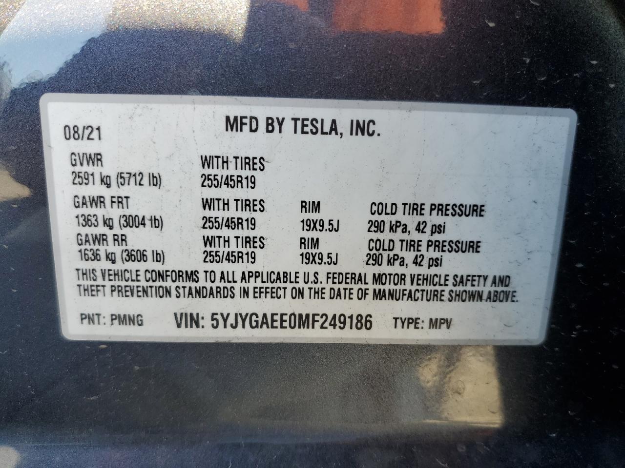 2021 Tesla Model y