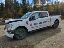 2023 Ford F150 Supercrew for sale in Montreal Est, QC