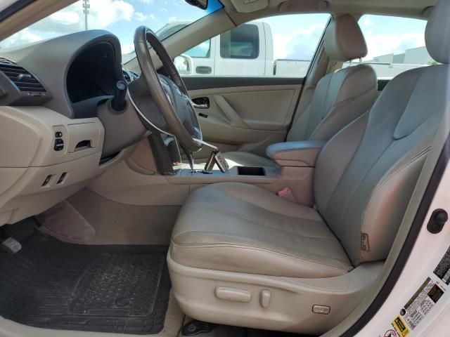 2009 Toyota Camry Hybrid