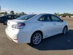 2010 Lexus HS 250H